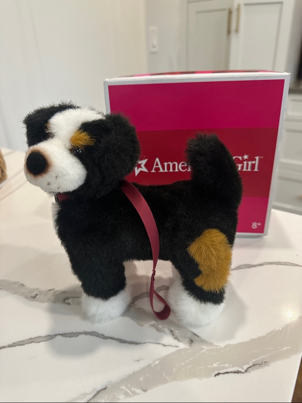 American Girl Nicki’s Dog-in-training